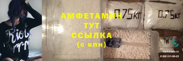 стафф Верхний Тагил